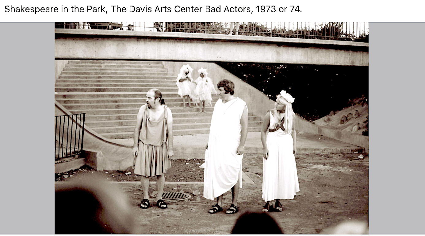 Shakespeare in the Park article in the Davis Enterprise
